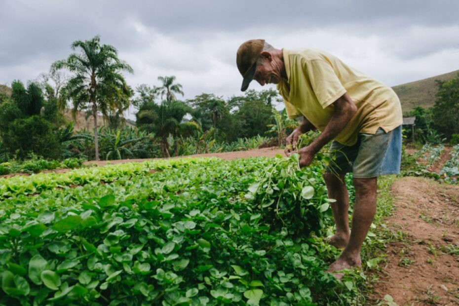 Regen ag: Undefined and unable to feed the planet?