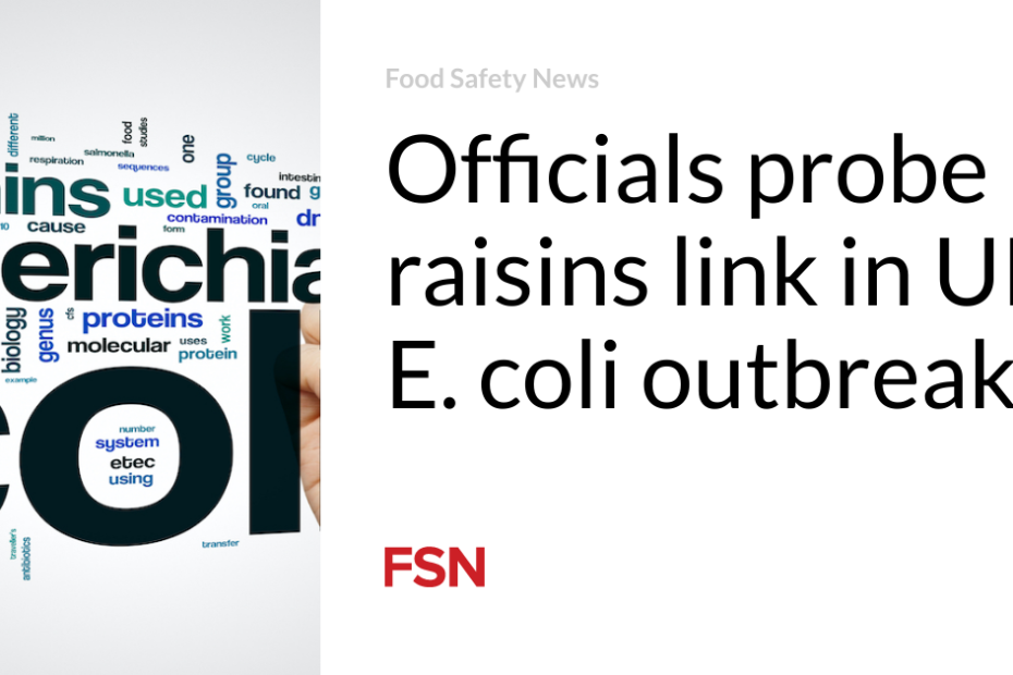 Officials probe raisins link in UK E. coli outbreak