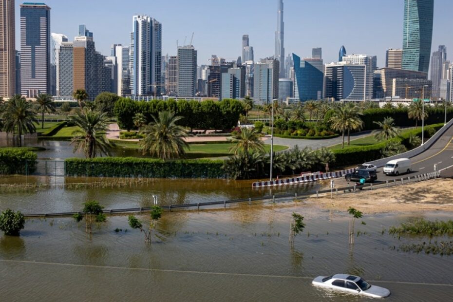 Dengue surges in UAE after record-breaking rainfall leaves ideal conditions for mosquitoes