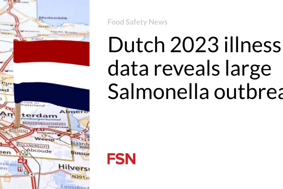 Dutch 2023 illness data reveals large Salmonella outbreak