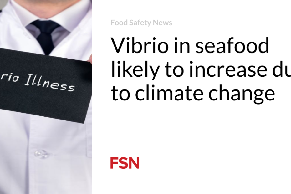 Vibrio in seafood likely to increase due to climate change