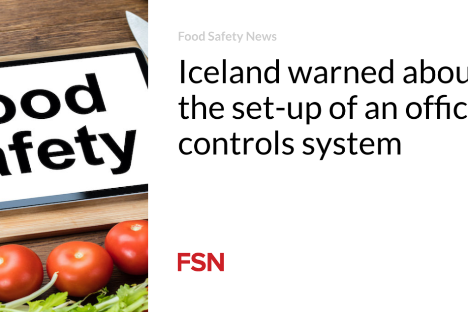 Iceland warned about the set-up of an official controls system