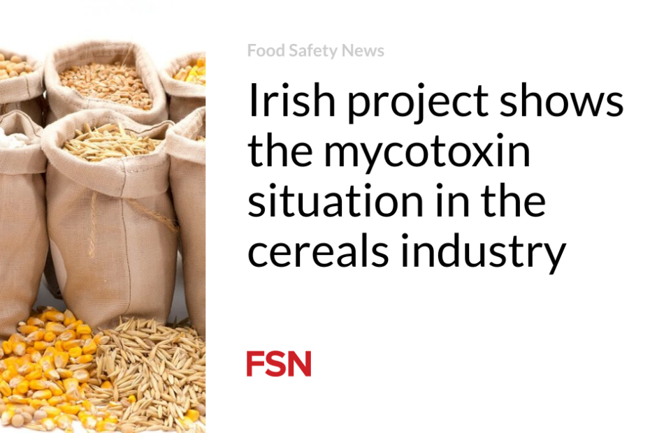 Irish project shows the mycotoxin situation in the cereals industry