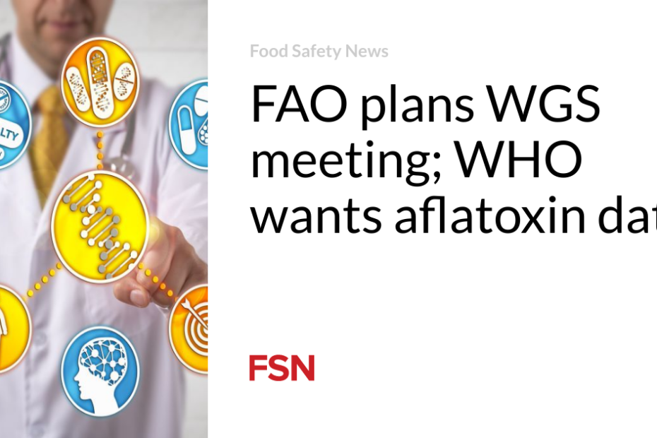 FAO plans WGS meeting; WHO wants aflatoxin data