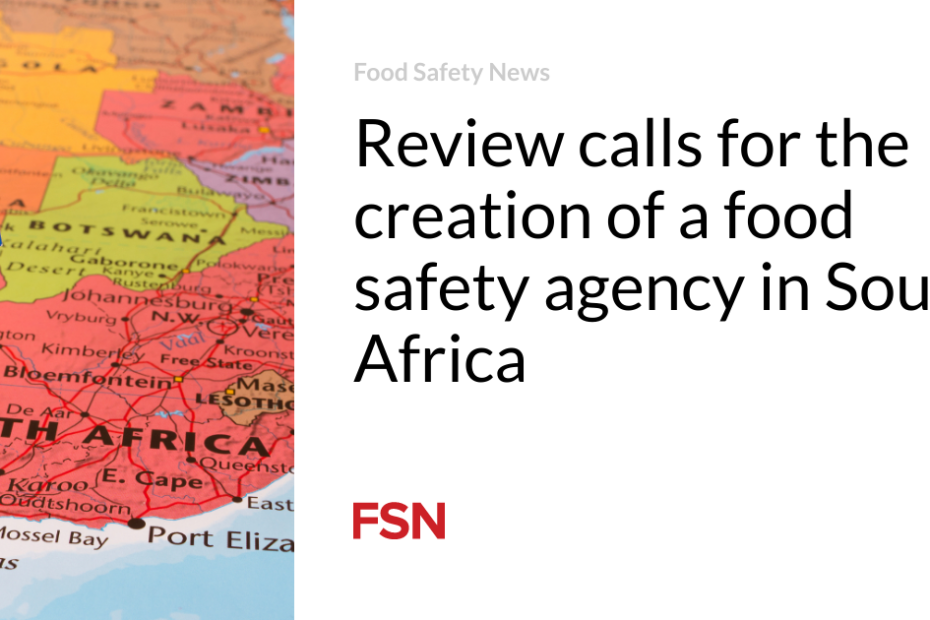 Review calls for the creation of a food safety agency in South Africa