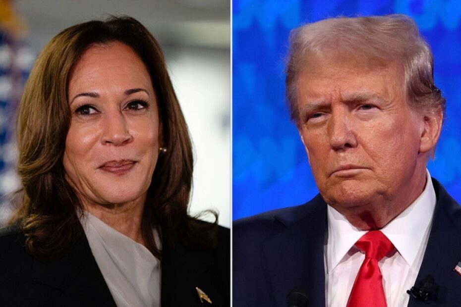 Trump accuses Harris of ‘Soviet style’ policies following price control proposal