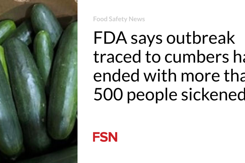 FDA says outbreak traced to cumbers has ended with more than 500 people sickened