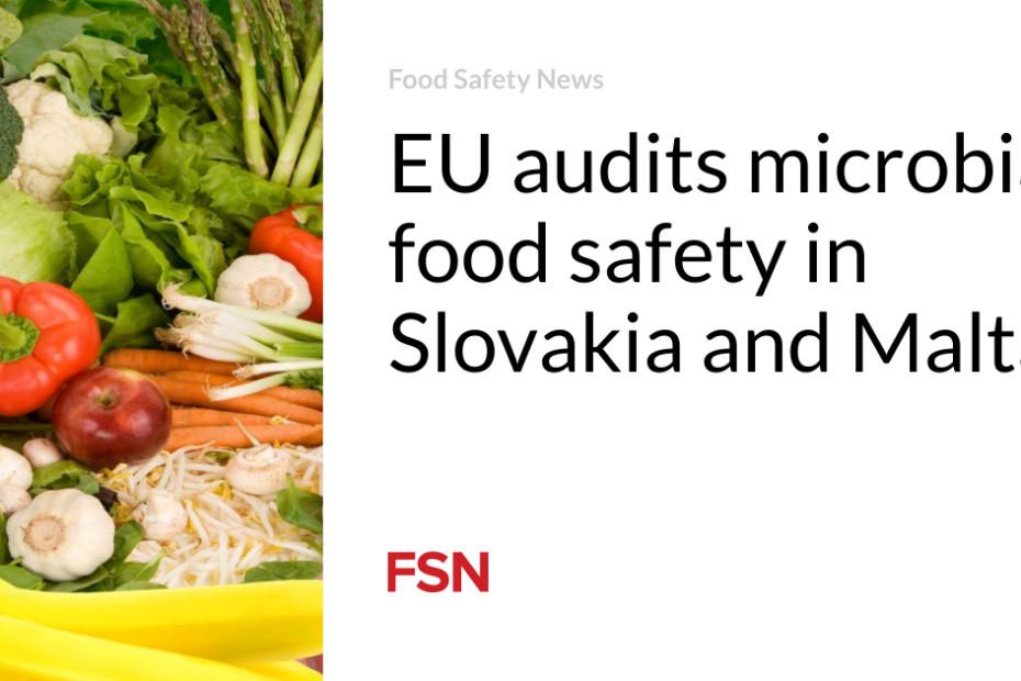 EU audits microbial food safety in Slovakia and Malta