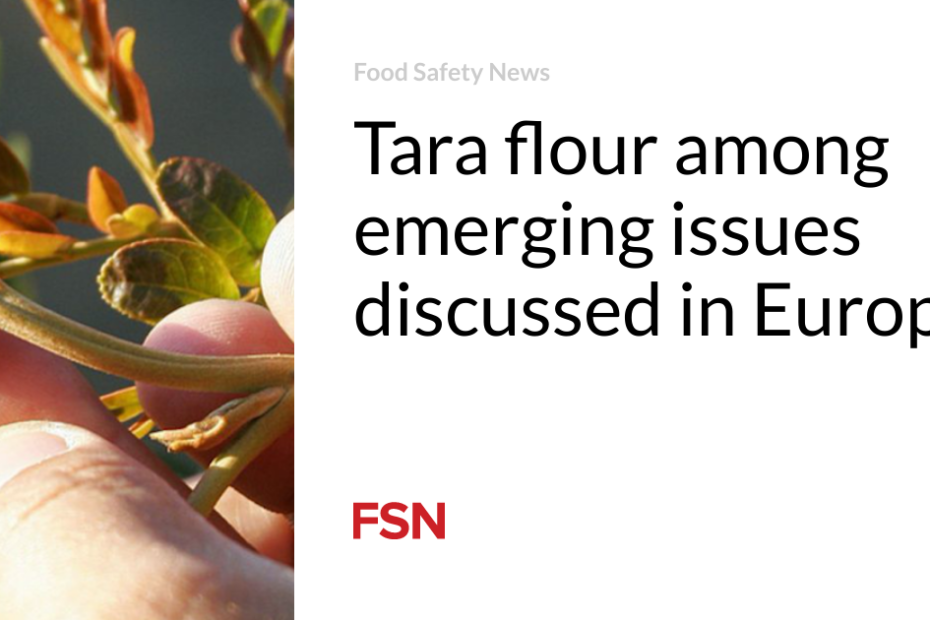 Tara flour among emerging issues discussed in Europe