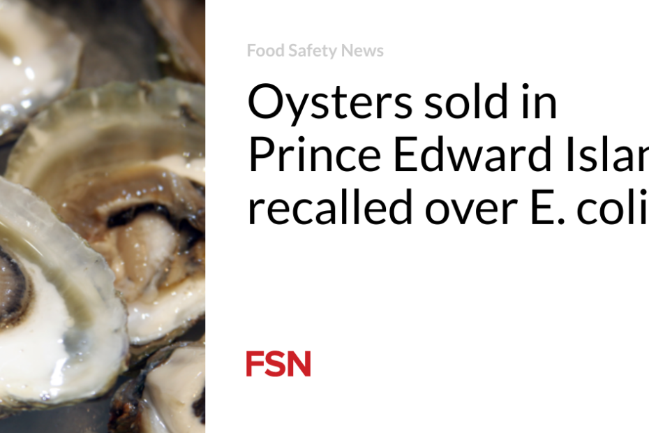 Oysters sold in Prince Edward Island recalled over E. coli