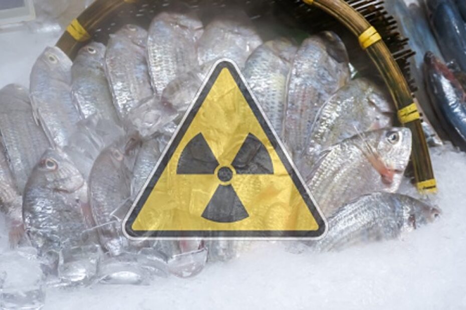 Nuclear termination? Japan declares it time to lift ‘all restrictions’ on Fukushima-affected food exports