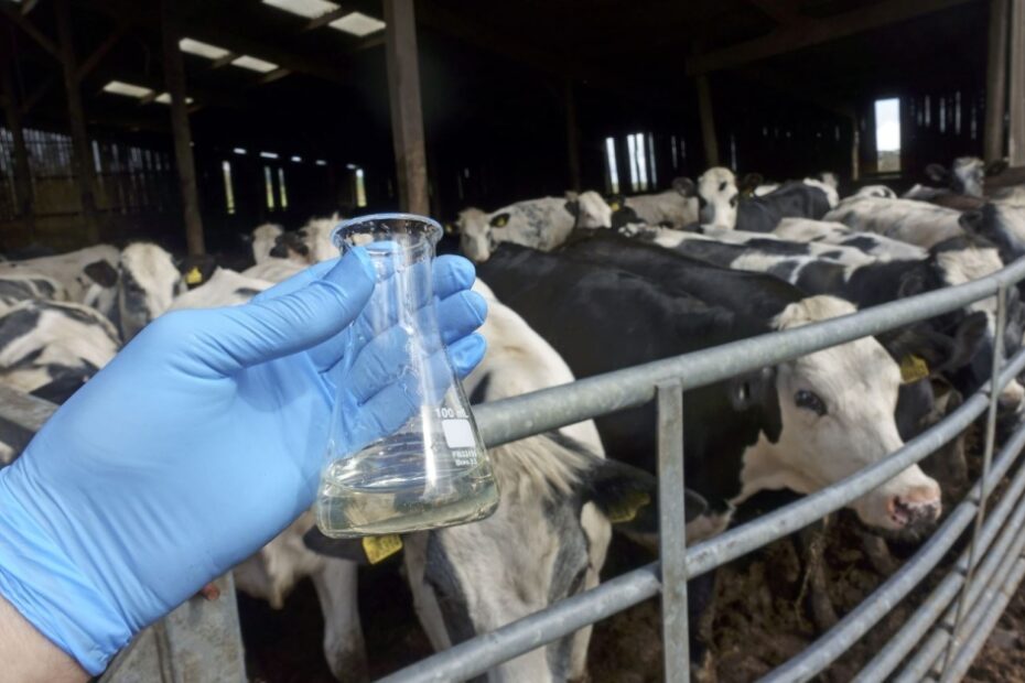 Business giants pile on pressure to cut antibiotics in global food chain