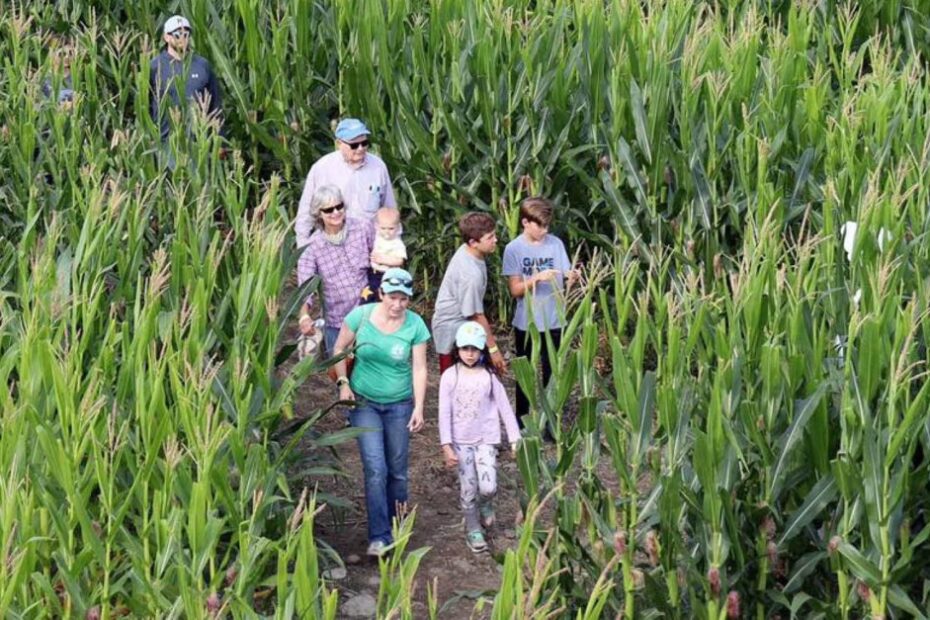 America’s Most Magnificent Mazes