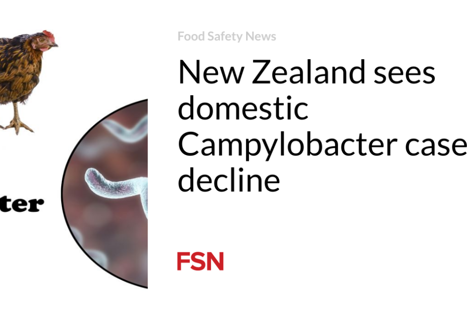 New Zealand sees domestic Campylobacter cases decline