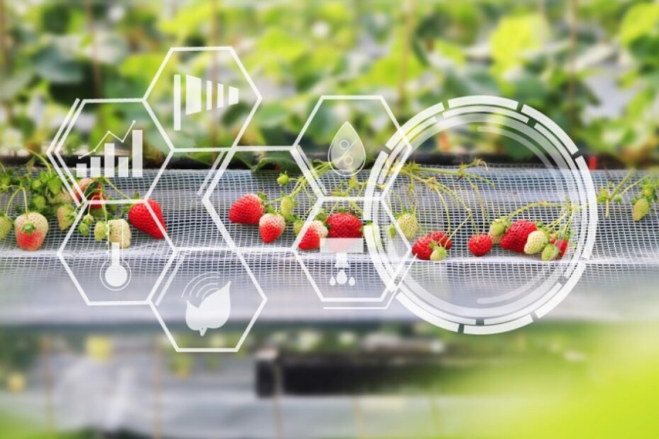 How food and beverage is innovating to safeguard food security