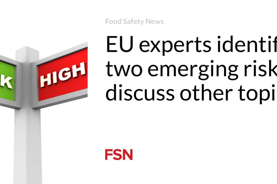 EU experts identify two emerging risks; discuss other topics