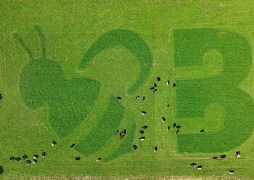 Organic Valley Creates Greenest Ads Grazed by Cows