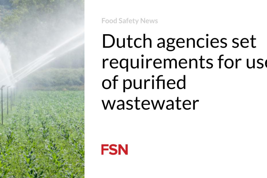 Dutch agencies set requirements for use of purified wastewater