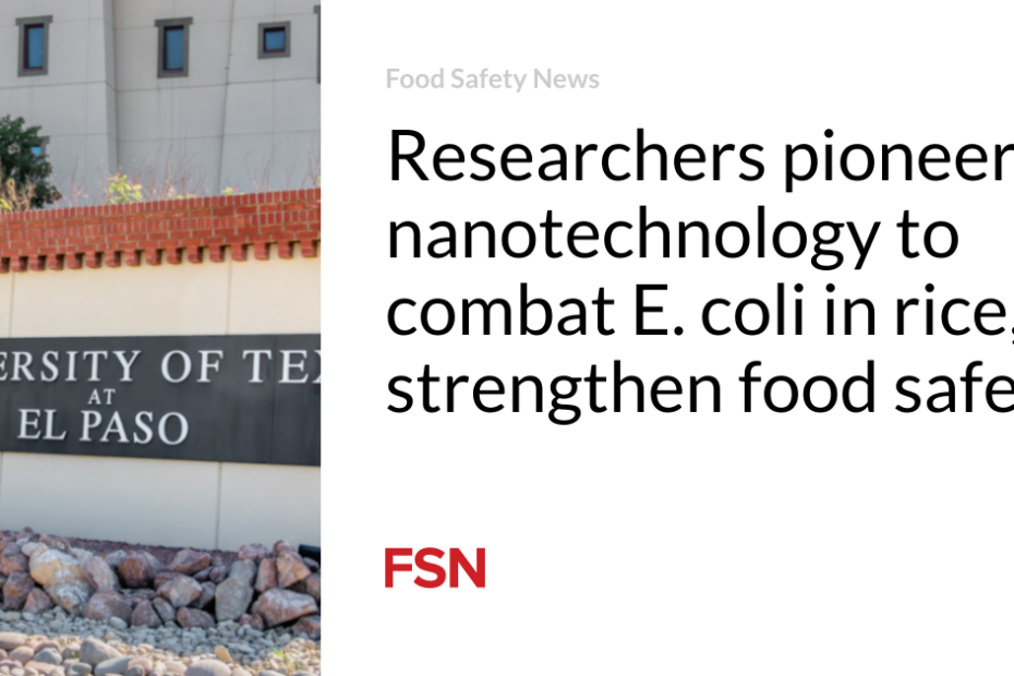 Researchers pioneer nanotechnology to combat E. coli in rice, strengthen food safety