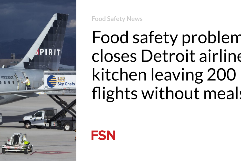 Food safety problem closes Detroit airline kitchen leaving 200 flights without meals