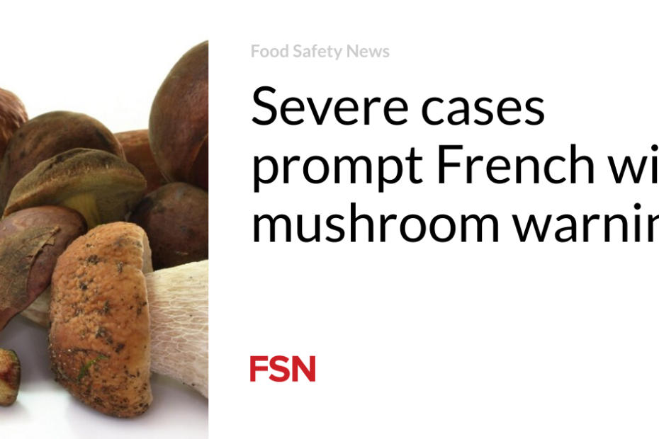 Severe cases prompt French wild mushroom warning