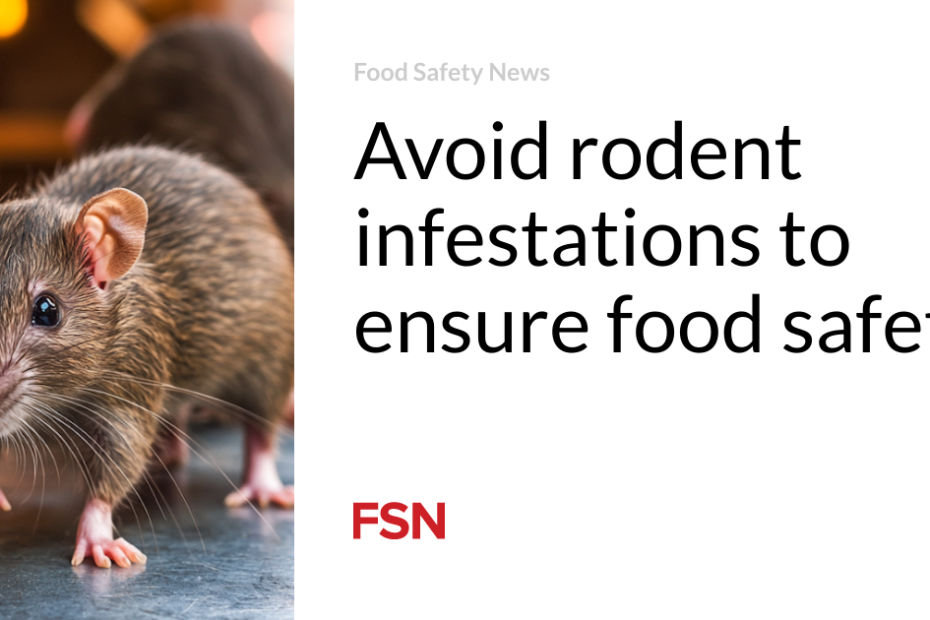 Avoid rodent infestations to ensure food safety