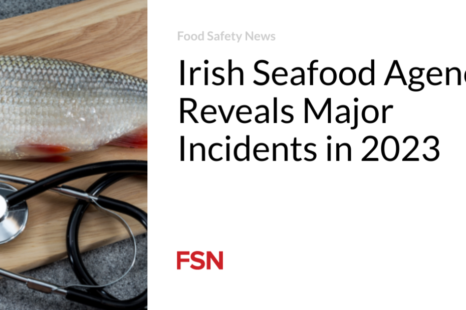 Irish Seafood Agency Reveals Major Incidents in 2023