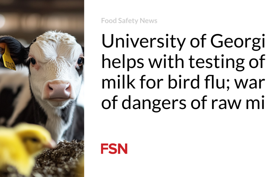 University of Georgia helps with testing of milk for bird flu; warns of dangers of raw milk