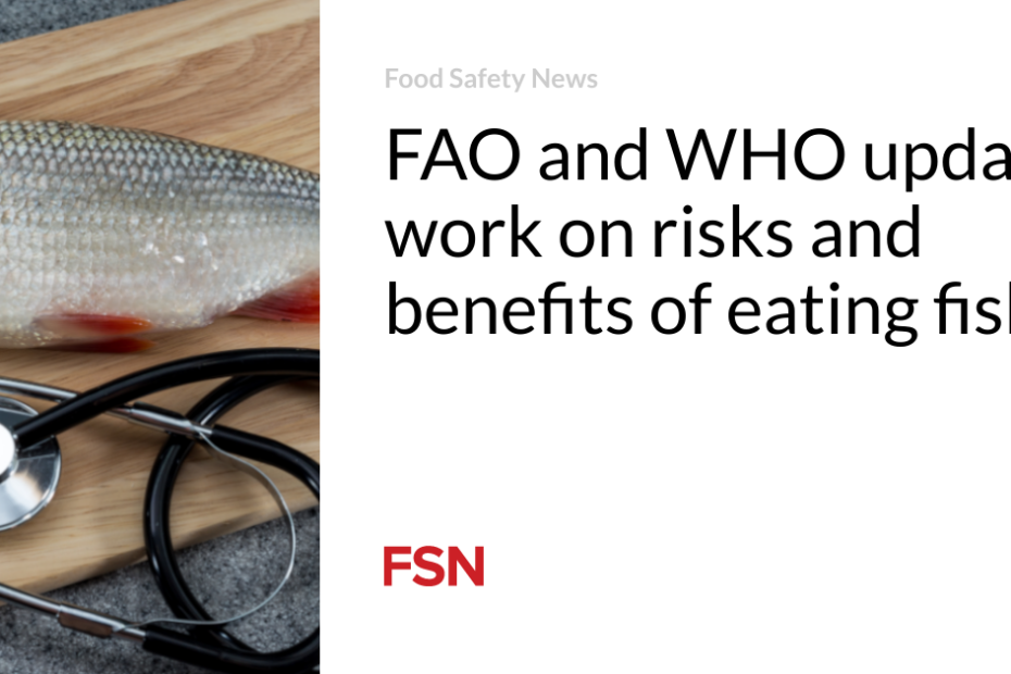 FAO and WHO update work on risks and benefits of eating fish