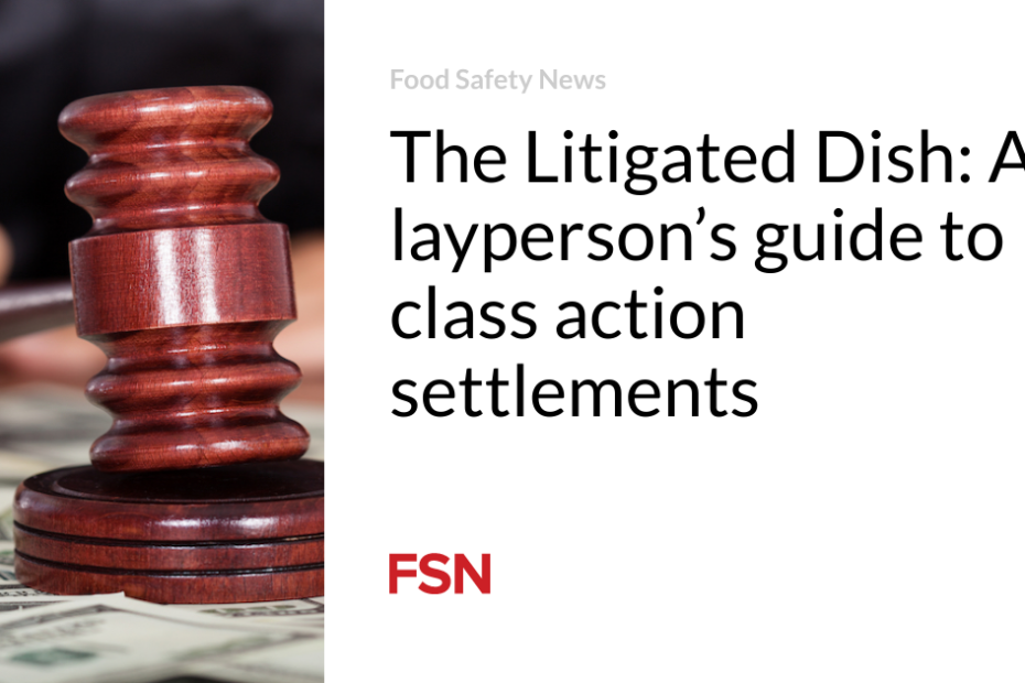 The Litigated Dish: A layperson’s guide to class action settlements