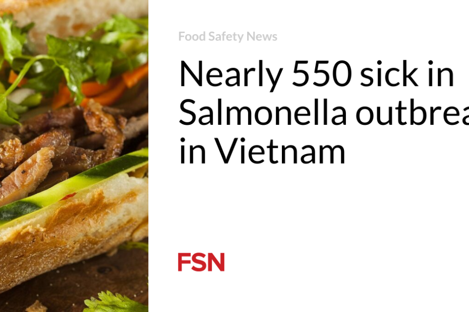 Nearly 550 sick in Salmonella outbreak in Vietnam