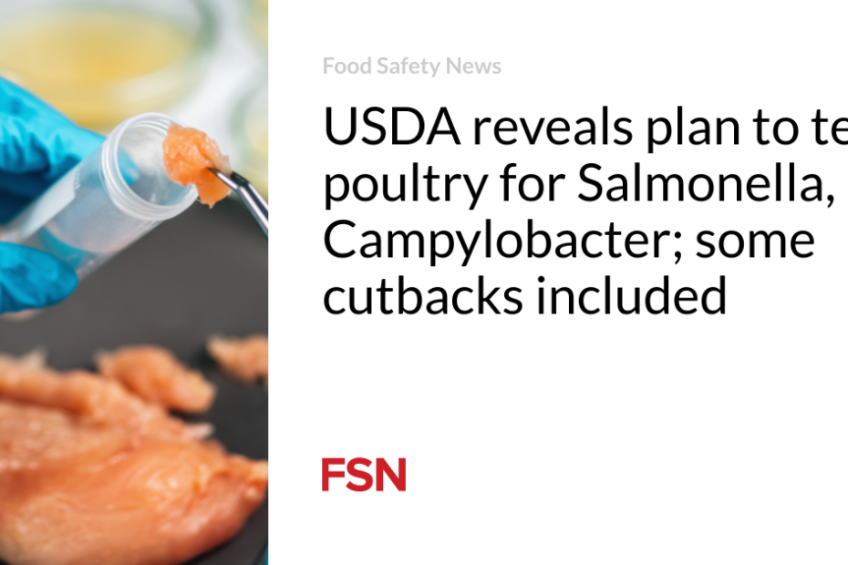 USDA reveals plan to test poultry for Salmonella, Campylobacter; some cutbacks included