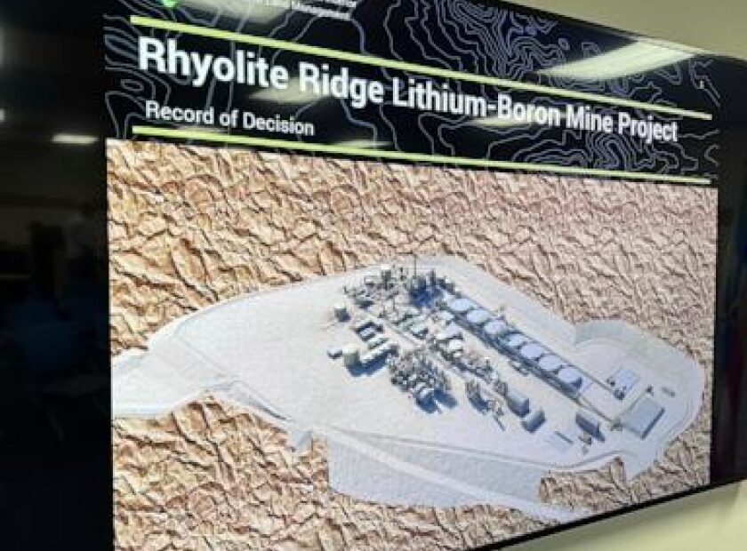 Nevada lithium mine will crush rare plant habitat US said is critical to its survival, lawsuit says